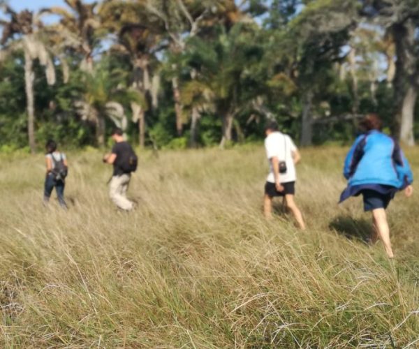6 Hour Guided Nature Hike 2
